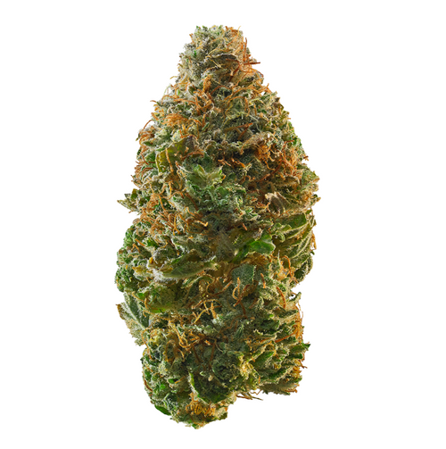 Candy Cherry Bomb (Exotic)