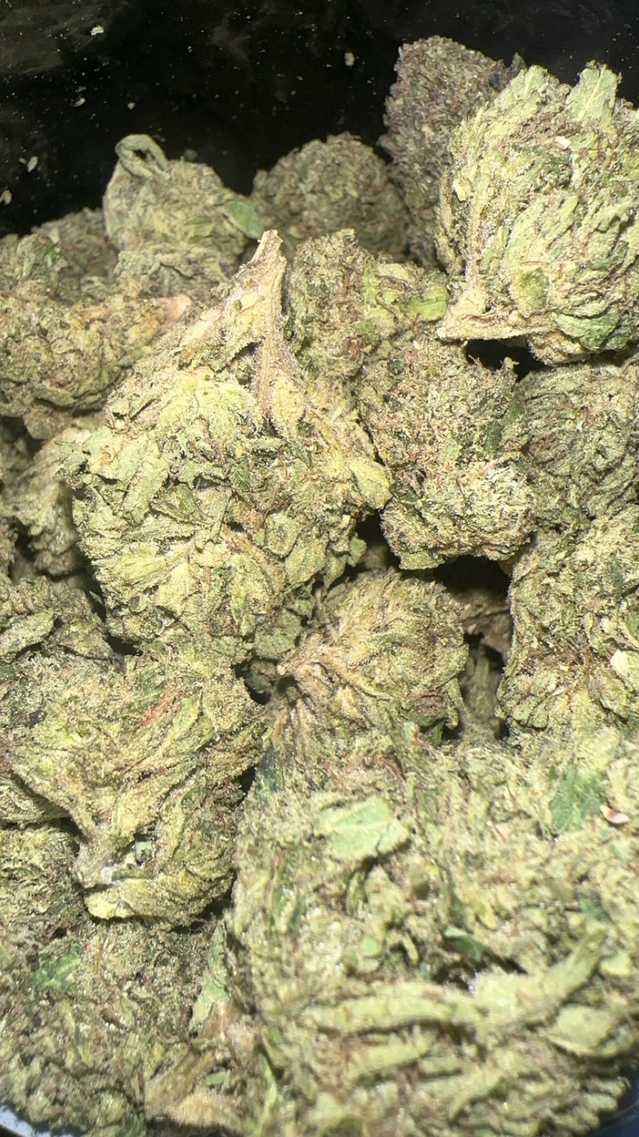 Double Cake (Exotic)
