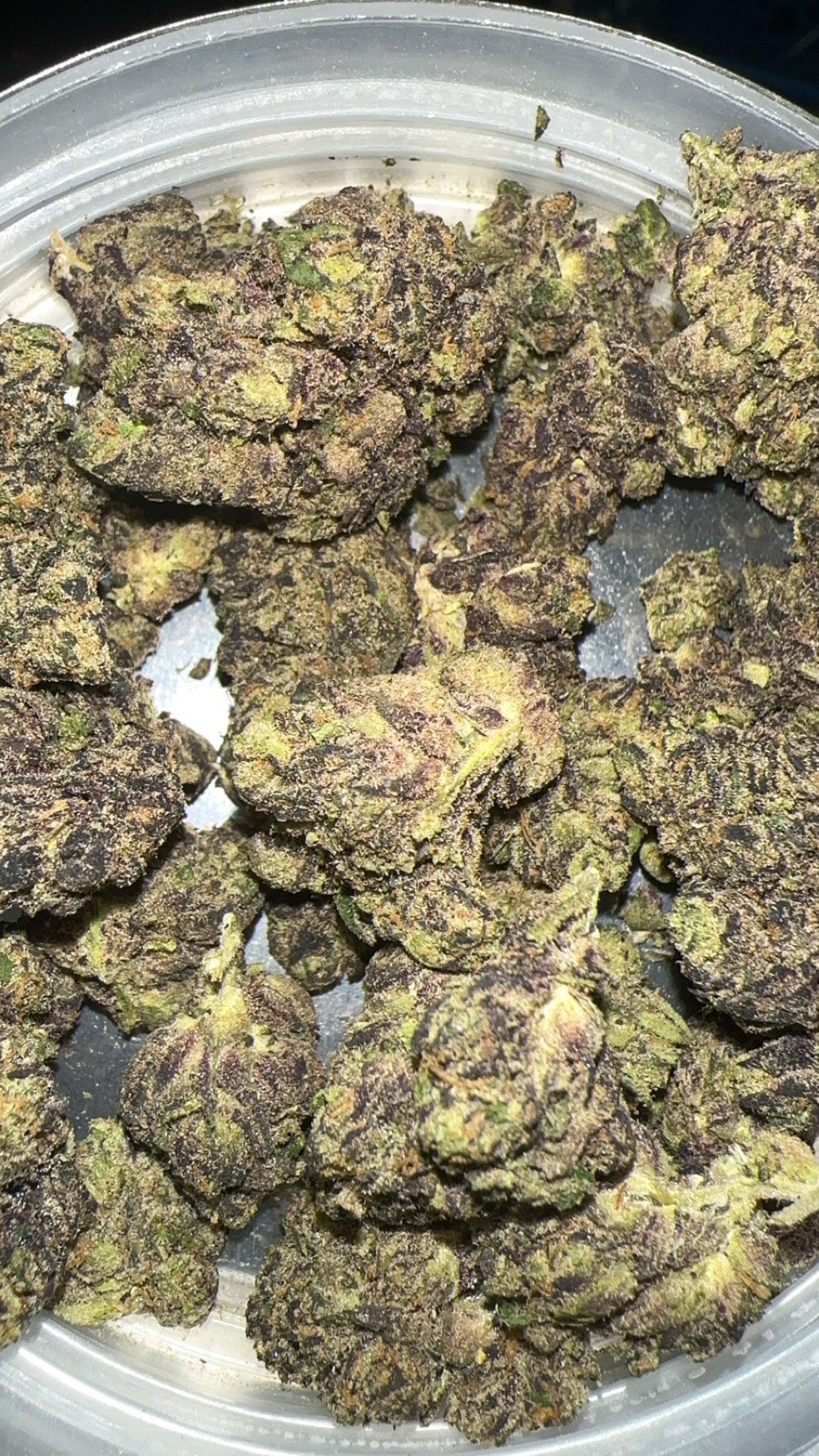 Eye Candy (Exotic+)