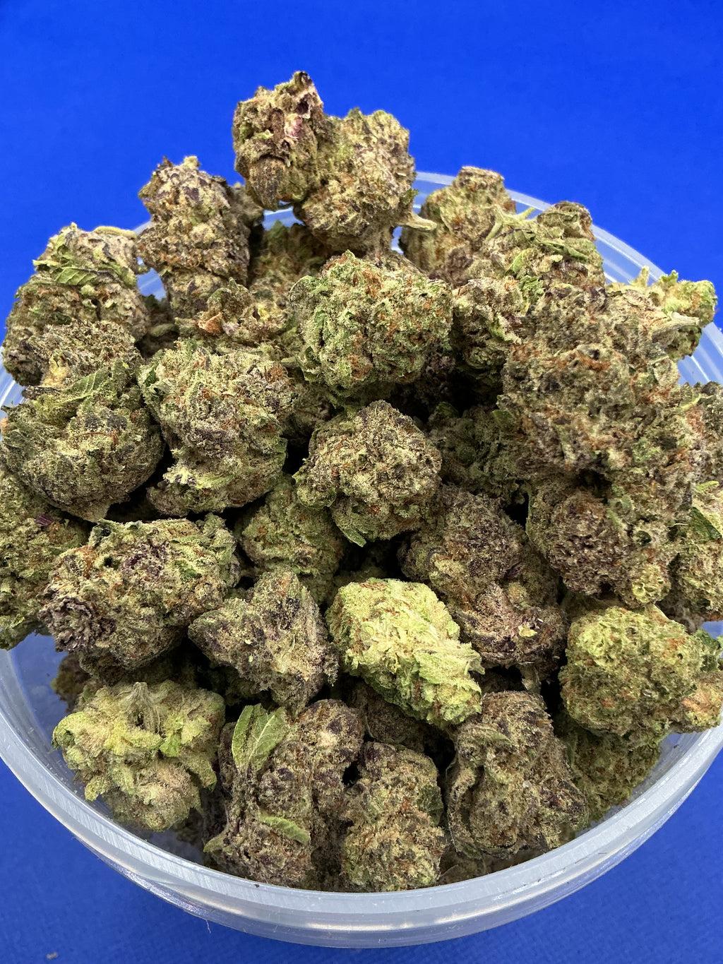 Orange Citrus (Exotic+)