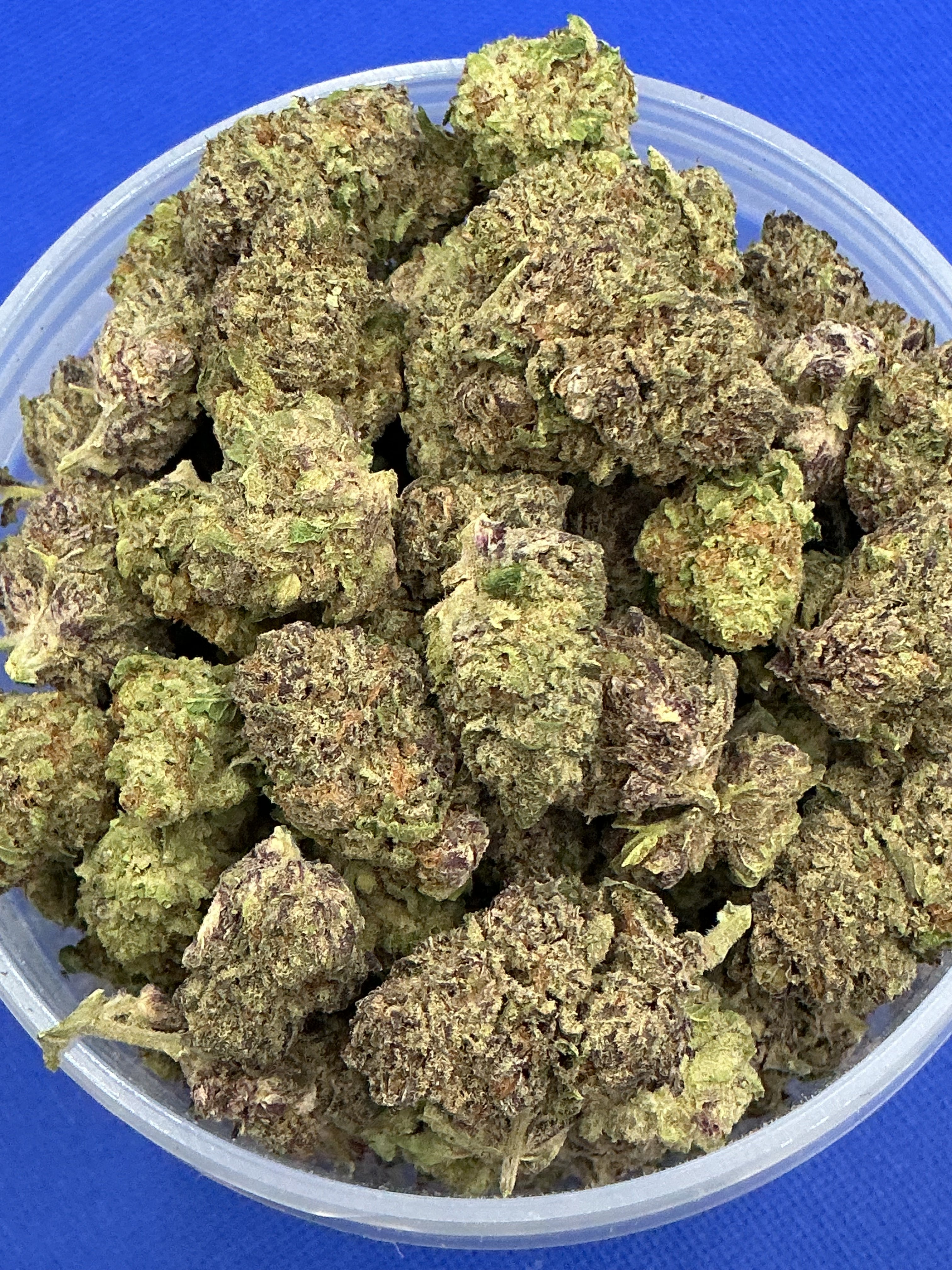 Blueberry Blast (Exotic+)