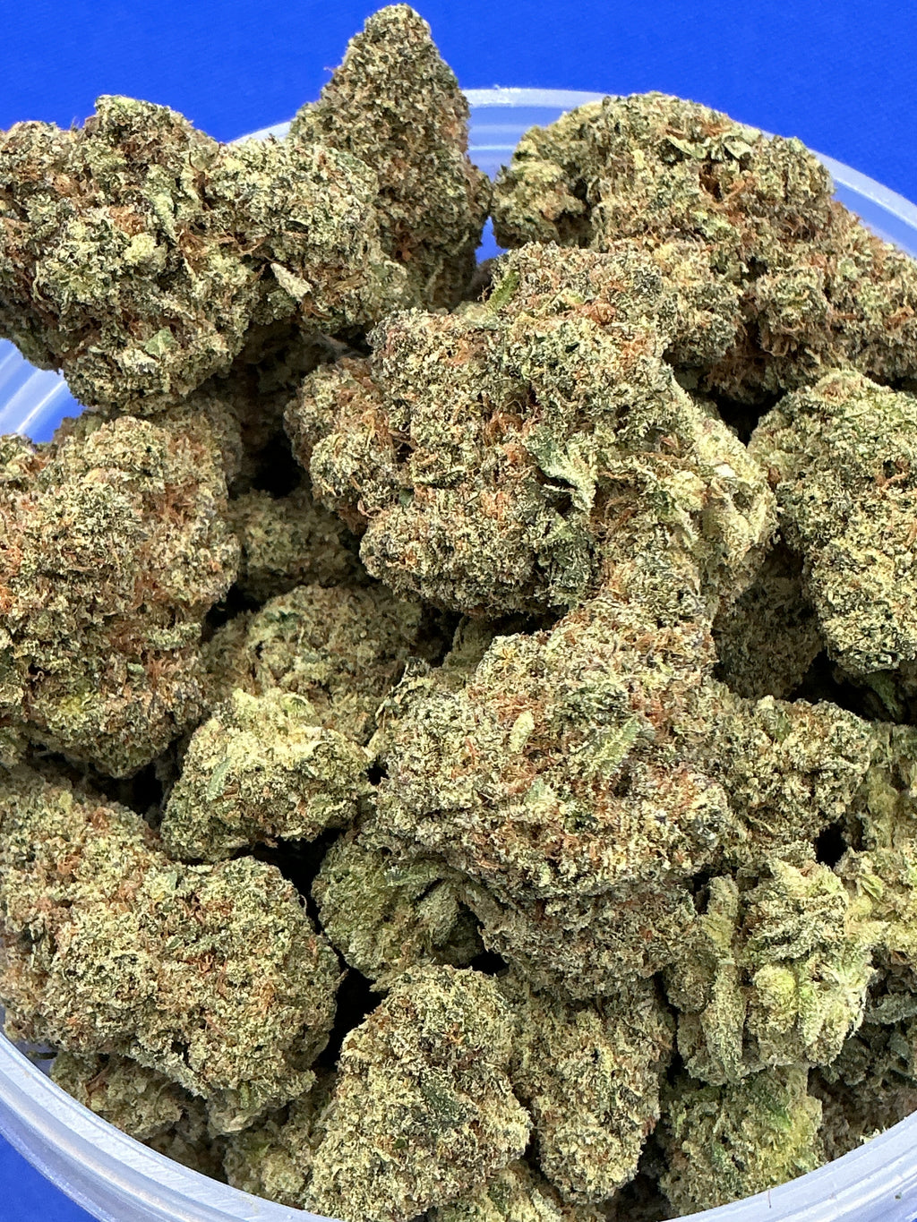 Cake N Bake (Exotic)