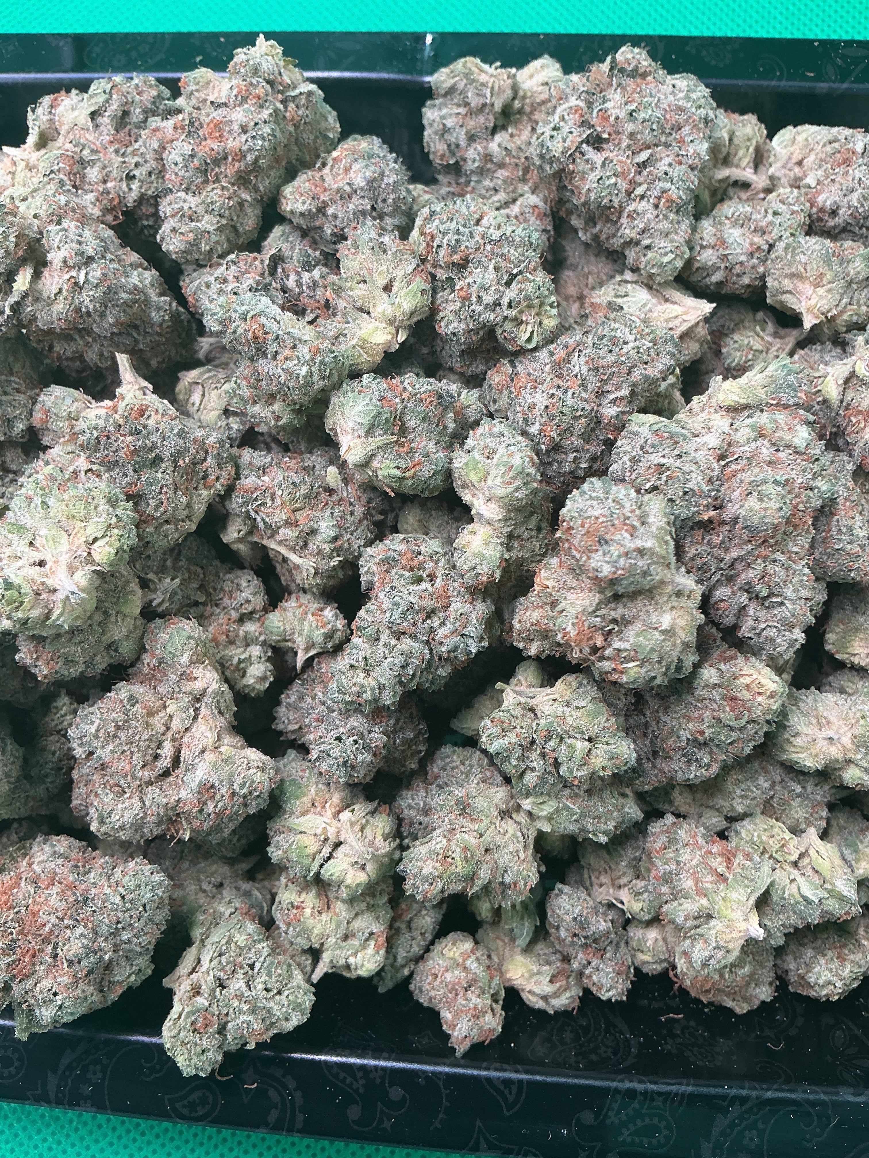 Banana Zkittles (Exotic)