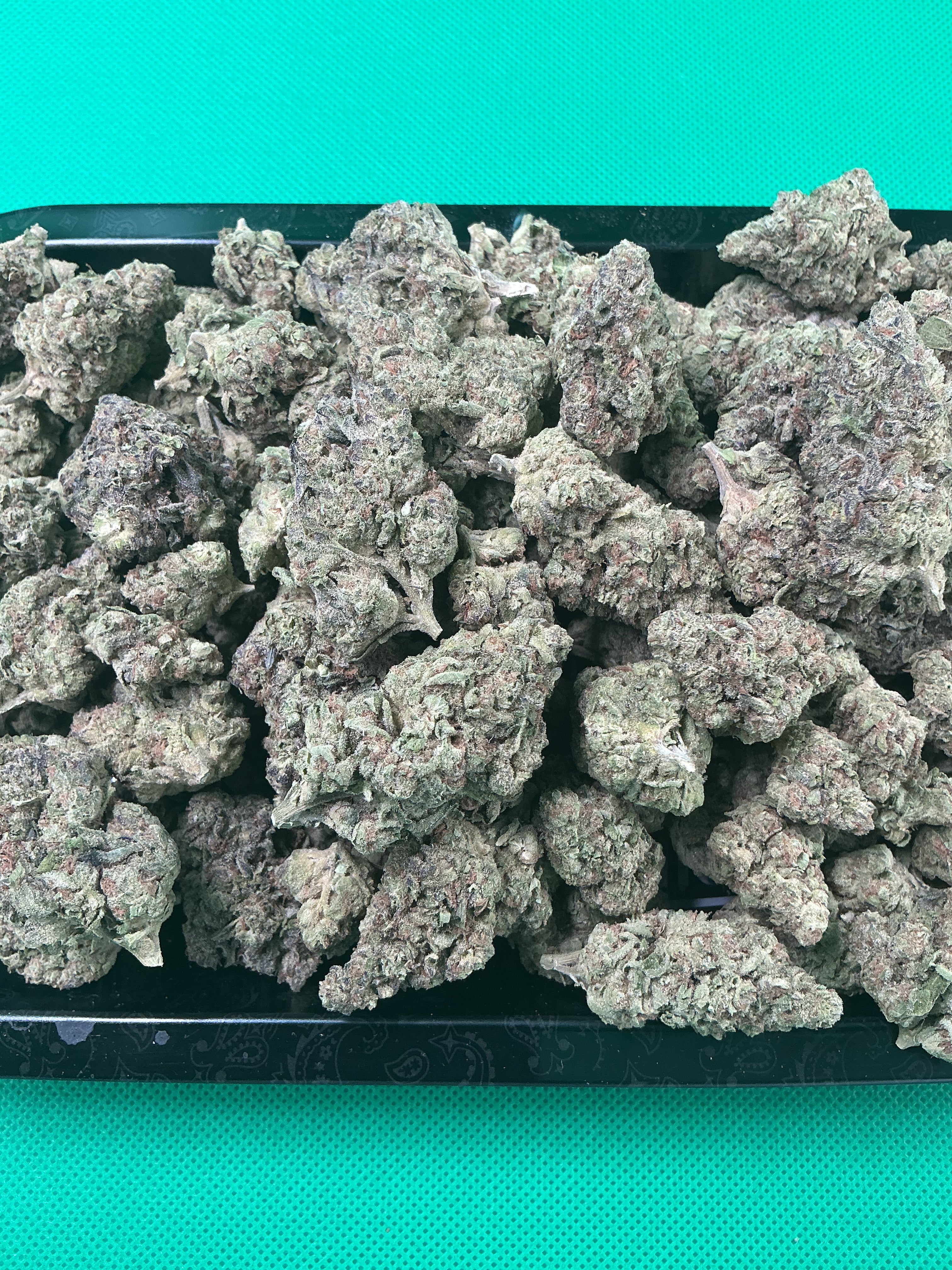 Apple Fritter (Exotic)