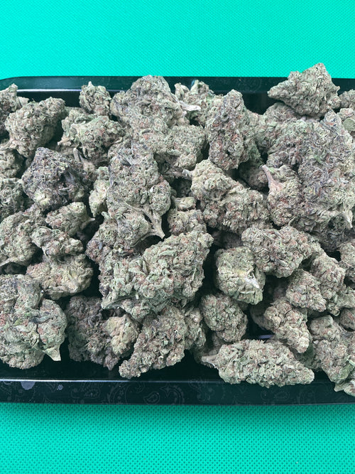 Apple Fritter (Exotic)