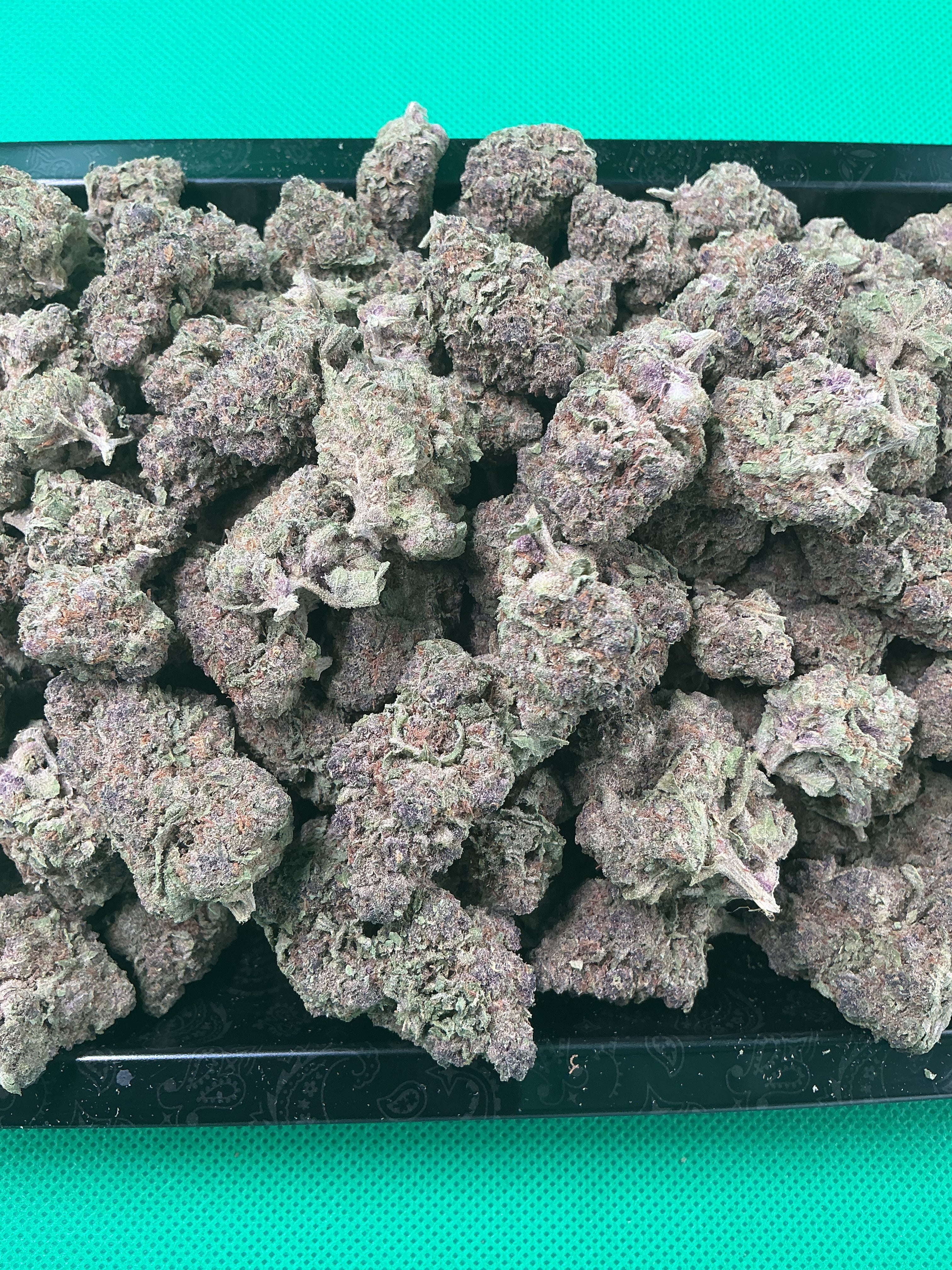 Jungle Soda (Exotic)