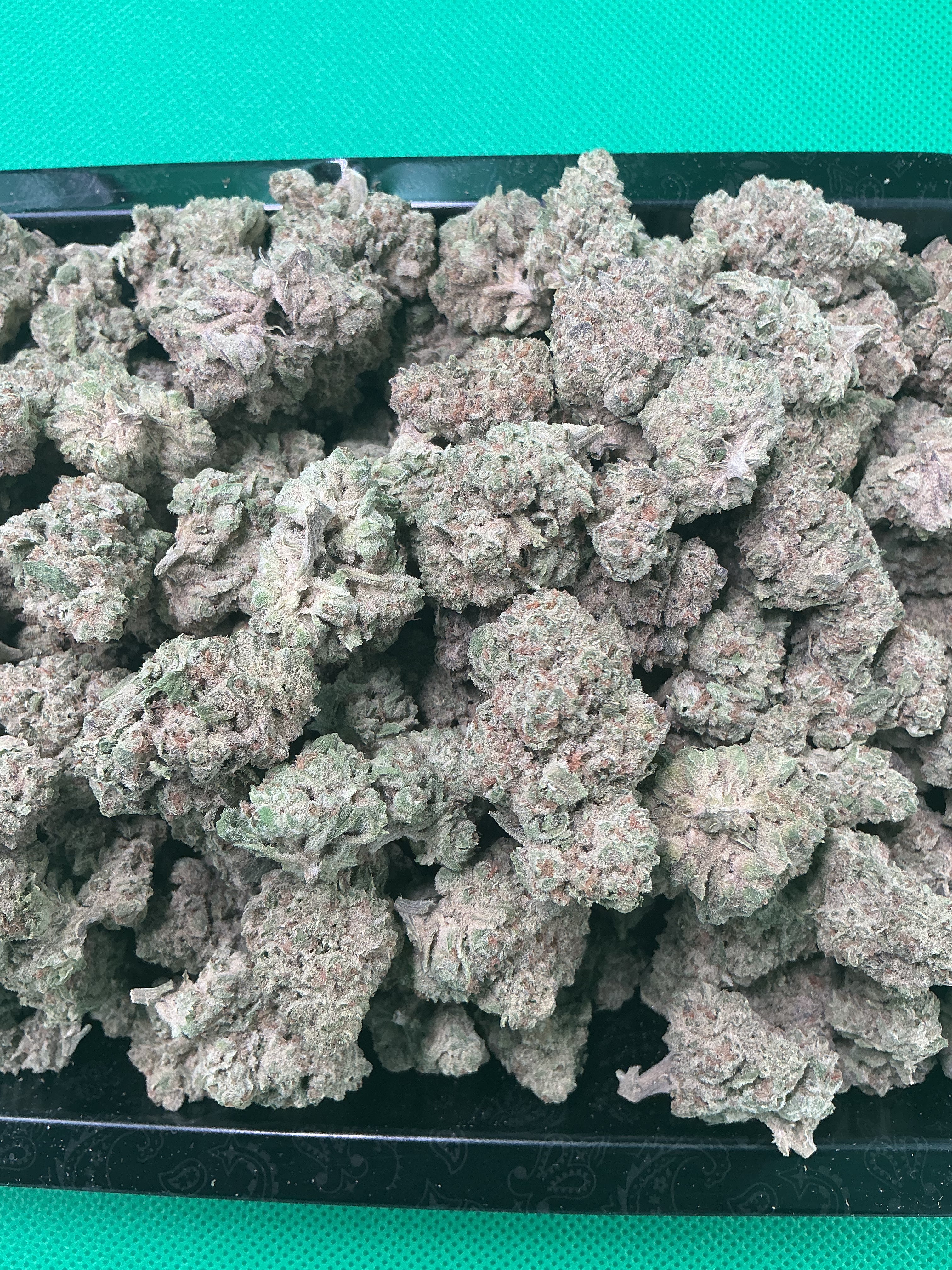 Bacio Gelato (Exotic)