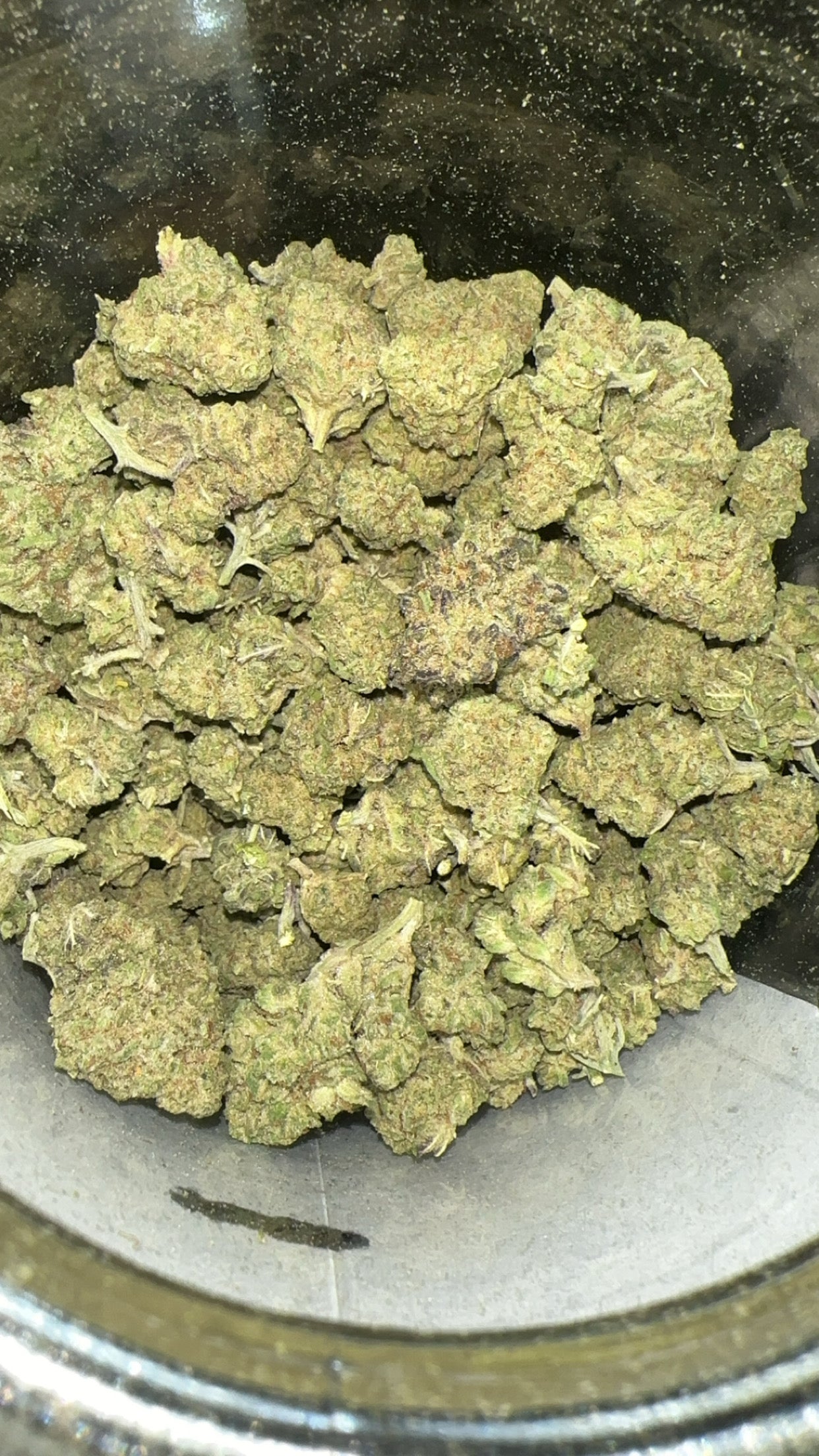 Laughing Gas (Exotic)