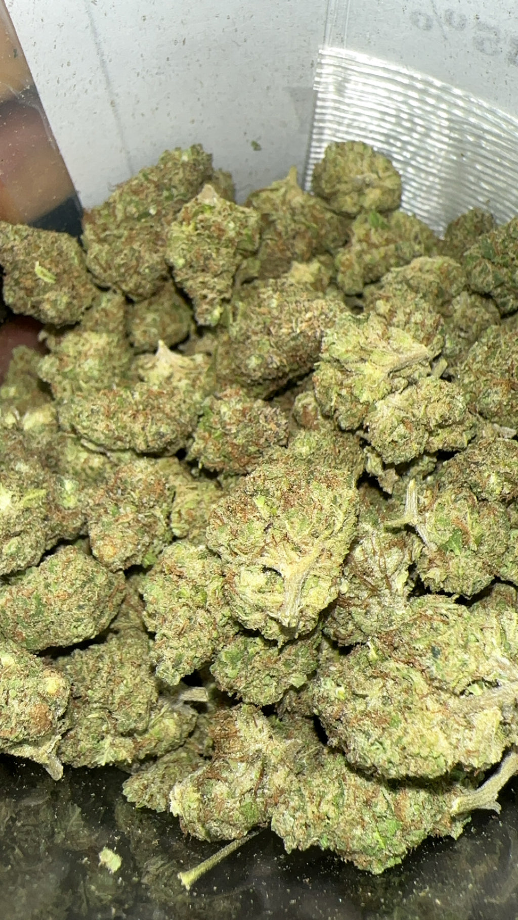 OZ Kush (Exotic)