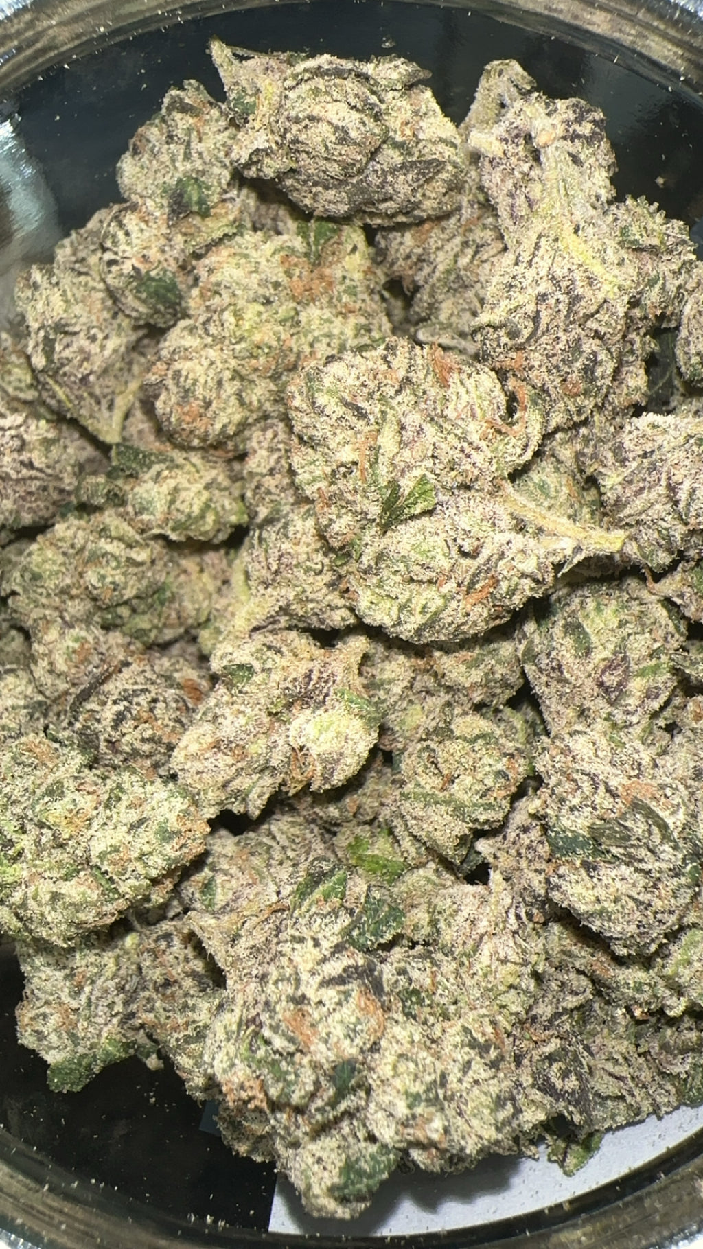 Rainbow Candy (Exotic)