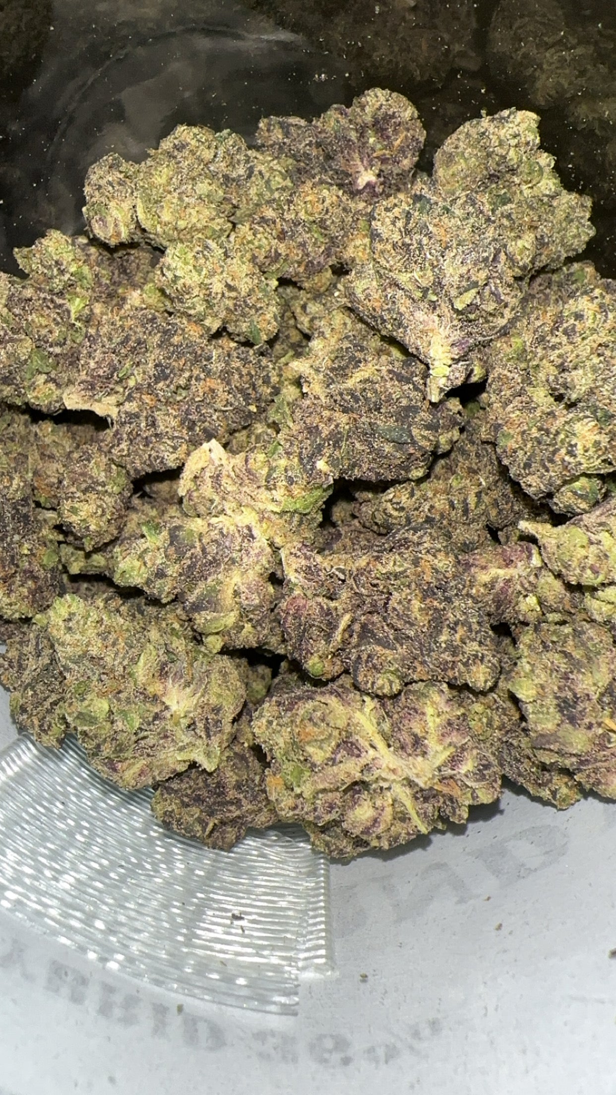 Trap Candy (Exotic)