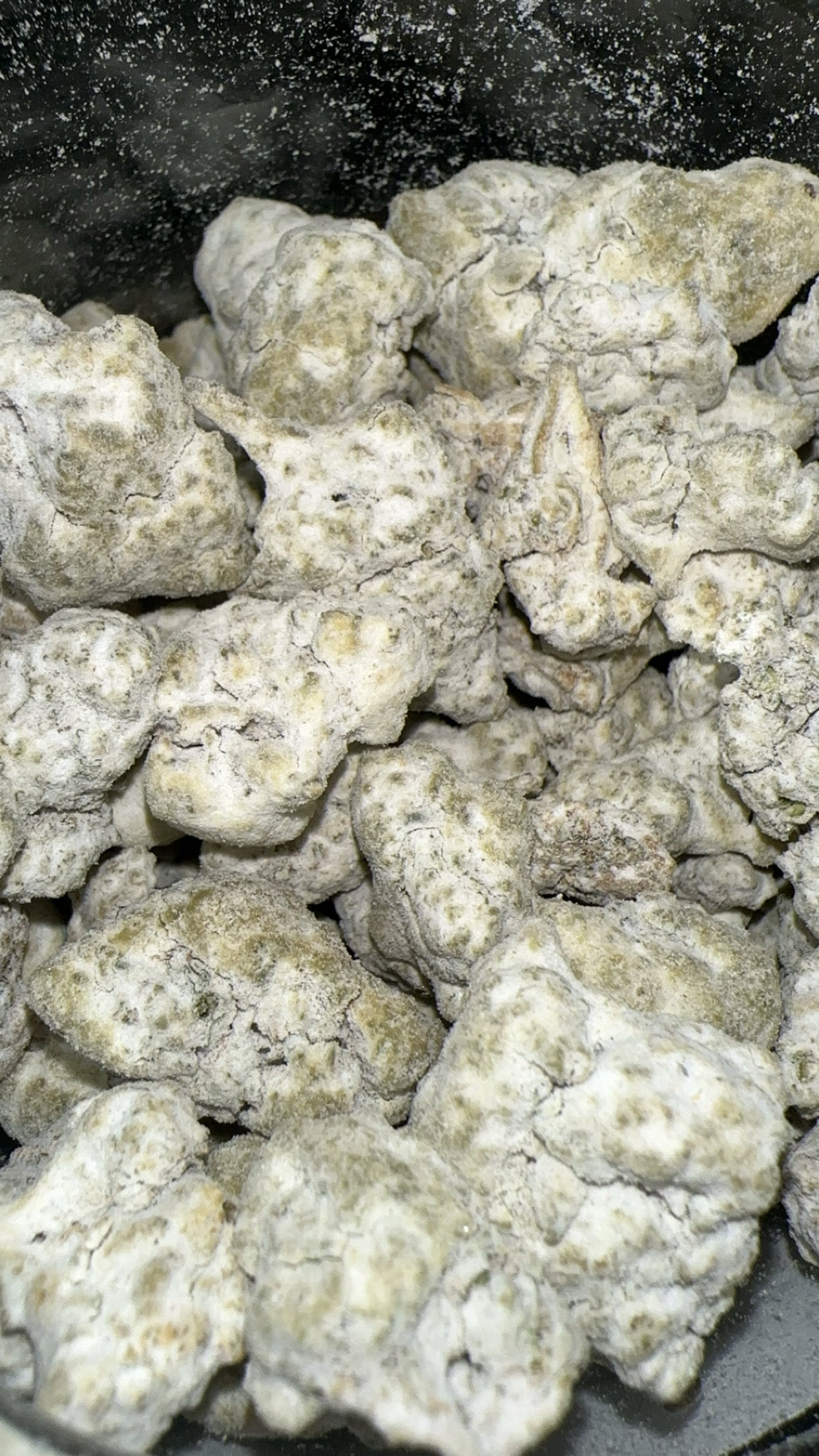 WHT GRL Snowcaps (Exotic+)
