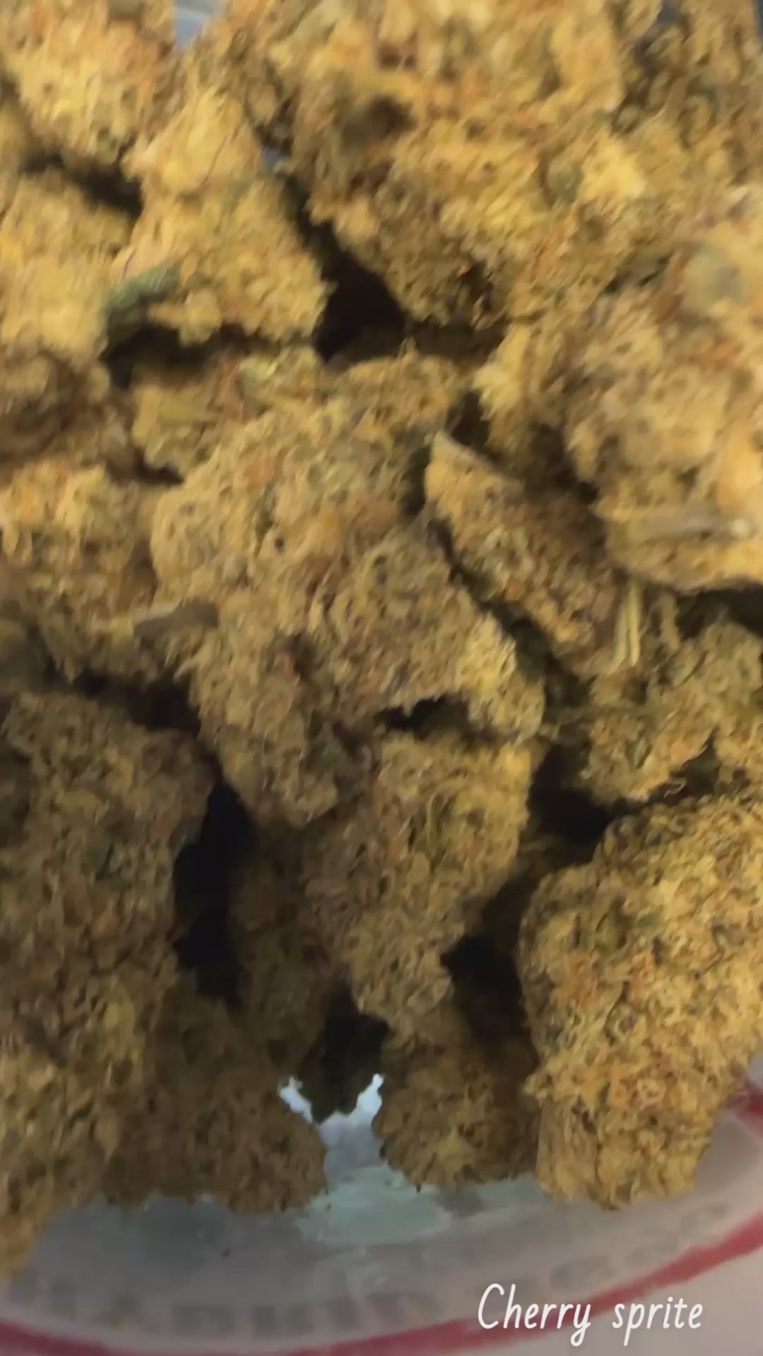 Cherry Sprite (Exotic)