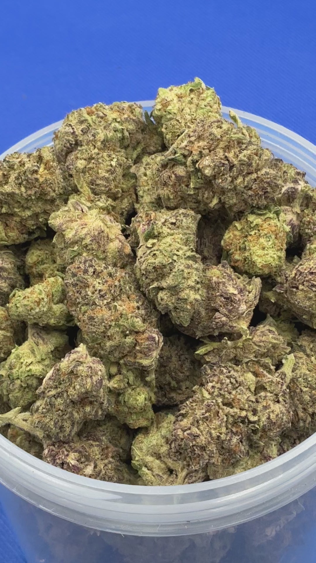 Blueberry Blast (Exotic+)