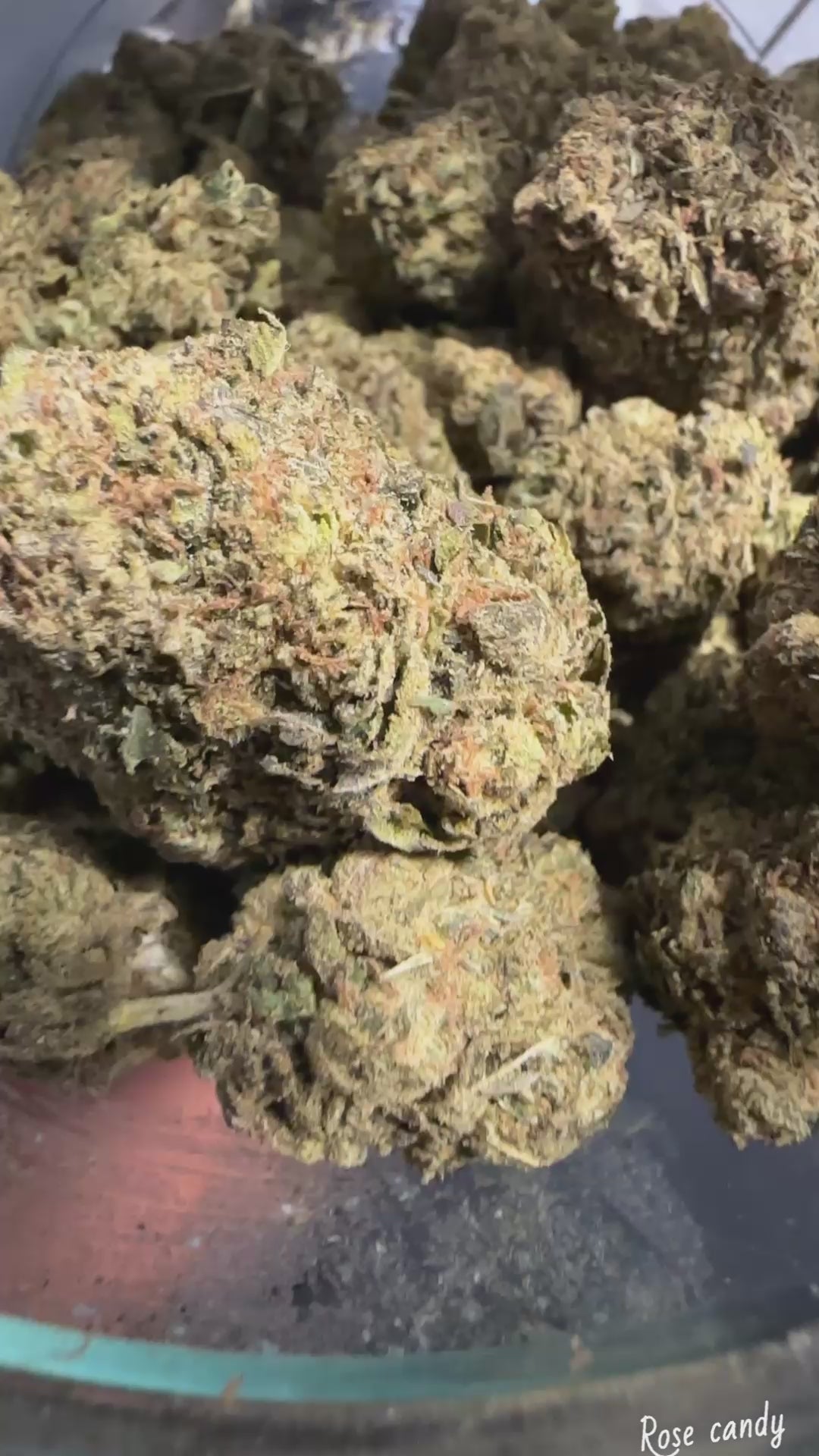 Rose Candy (Exotic)