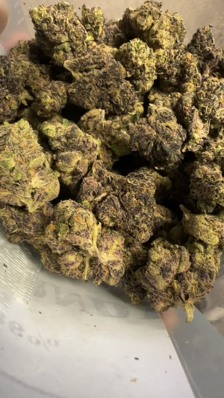 Trap Candy (Exotic)