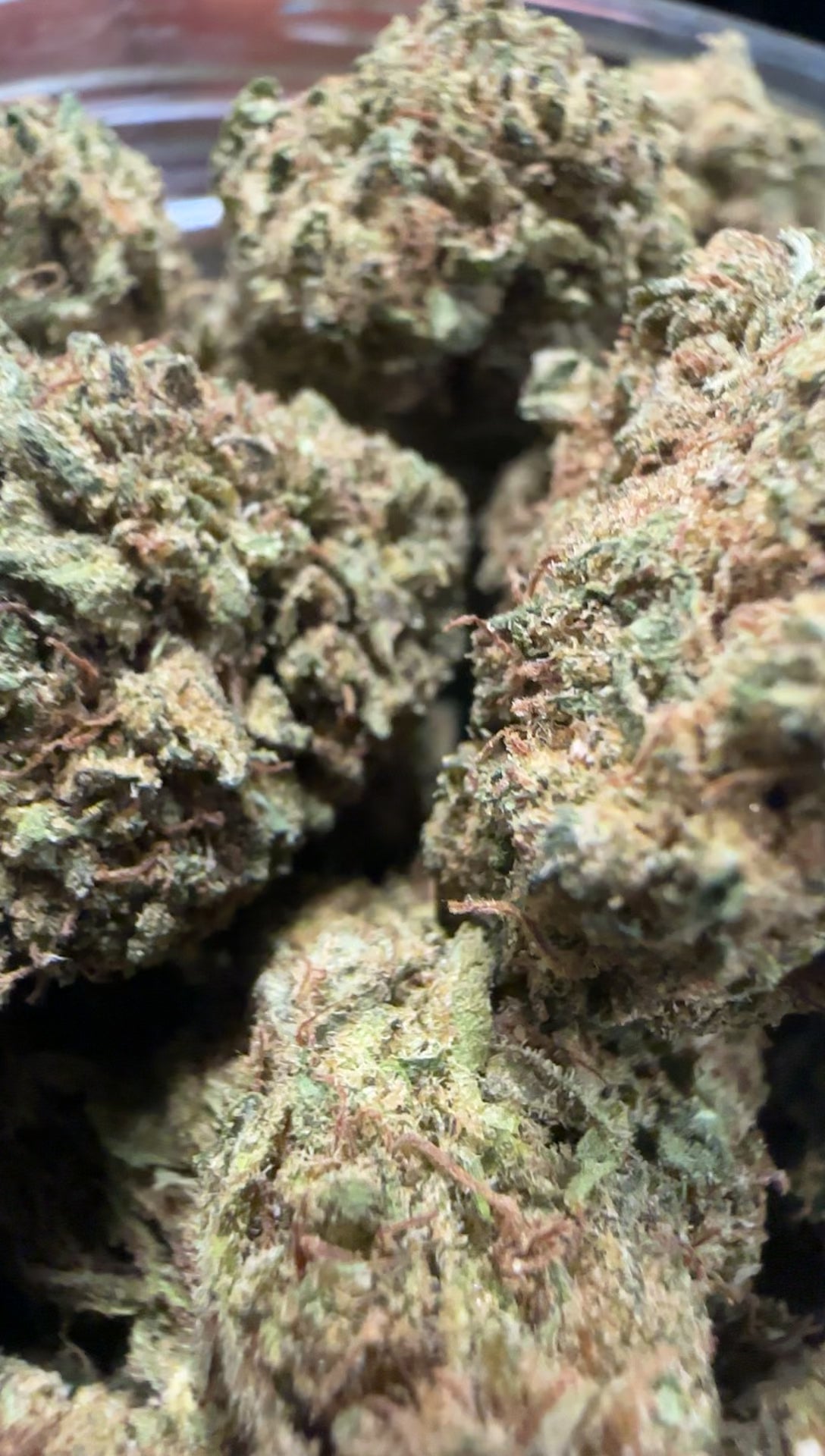 King Kush (Exotic)