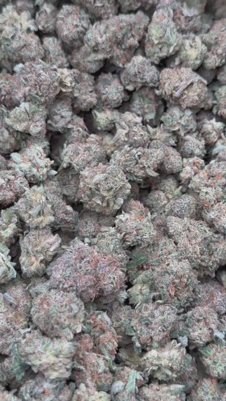 Cake N Bake (Exotic)