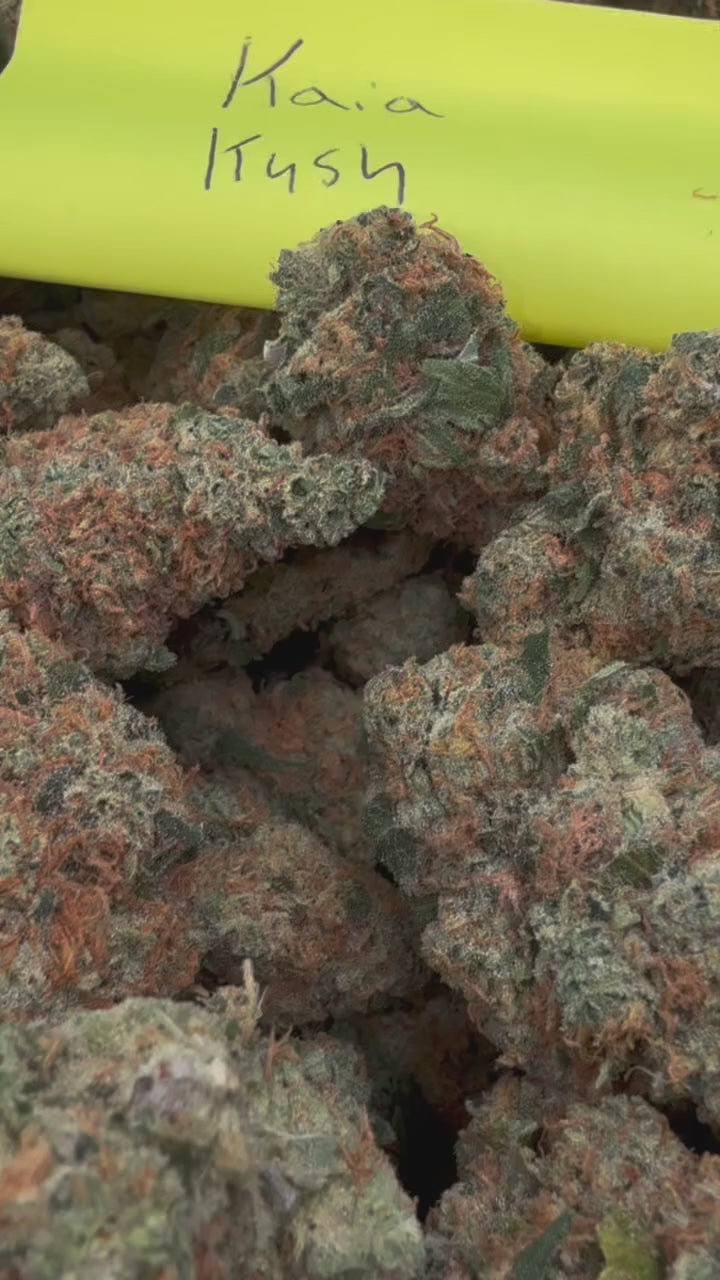Kaia Kush (Exotic)