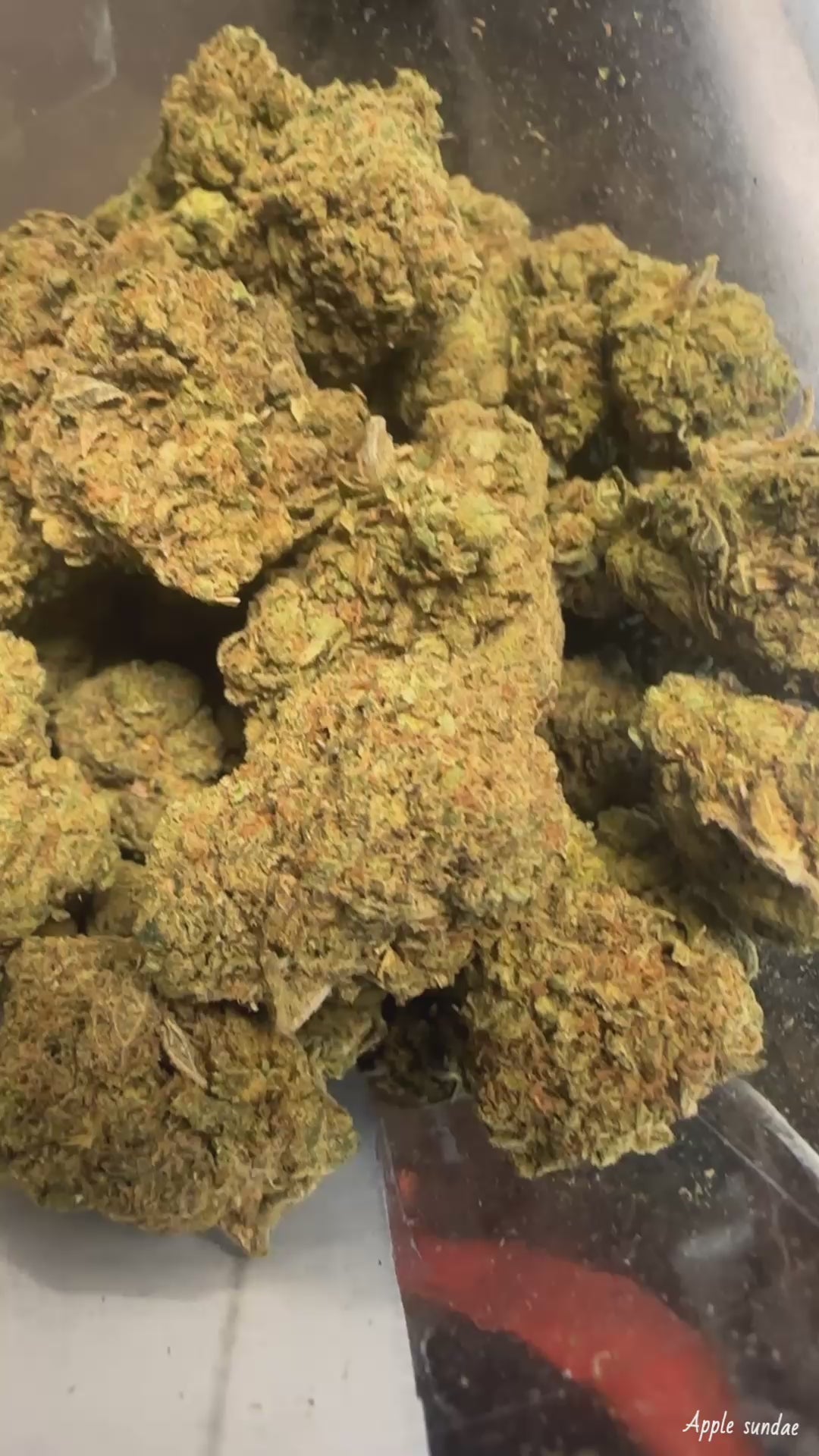 Apple Sundae (Exotic)