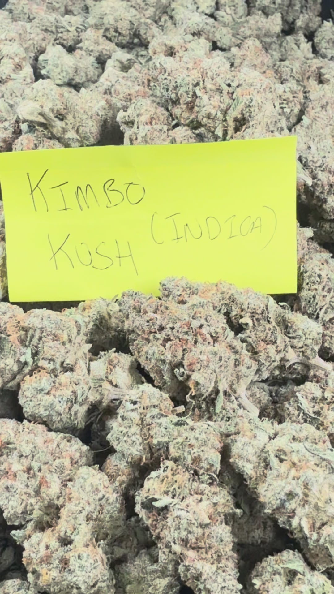 Kimbo Kush (Exotic)