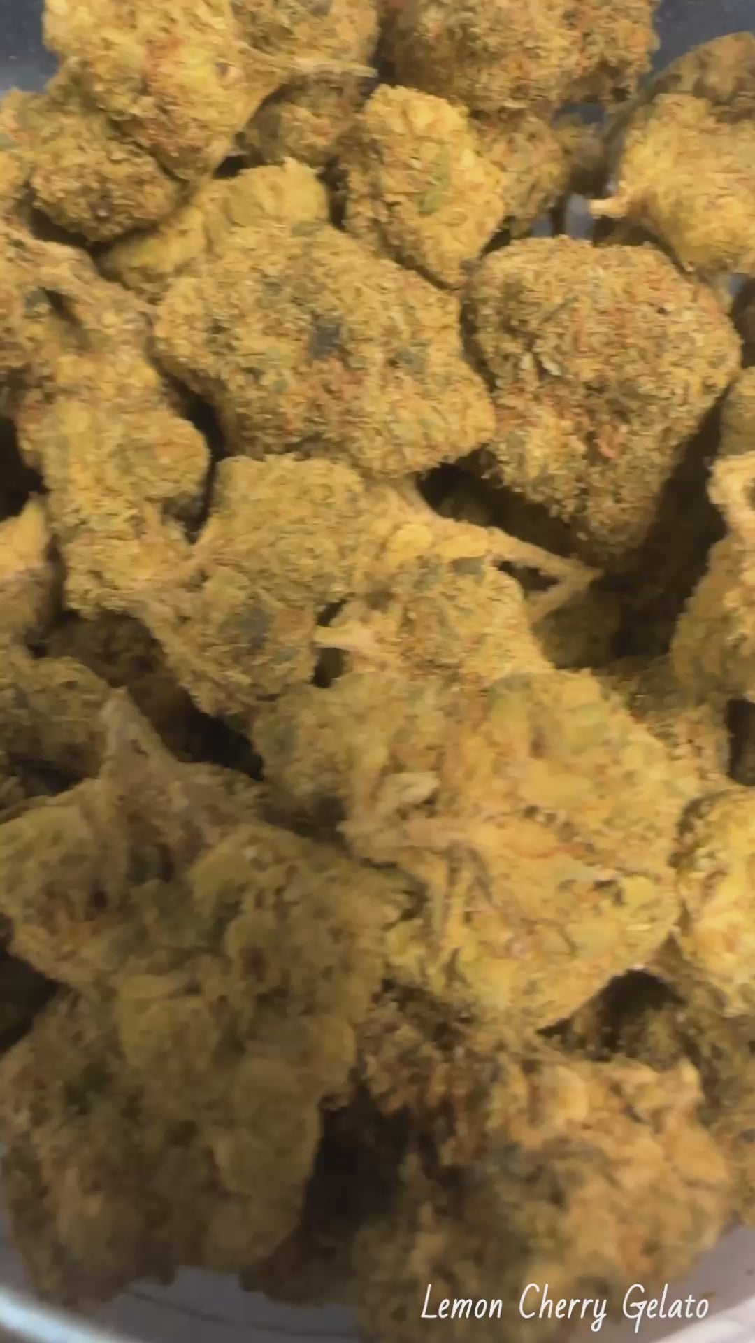 Lemon Cherry Gelato (Exotic)