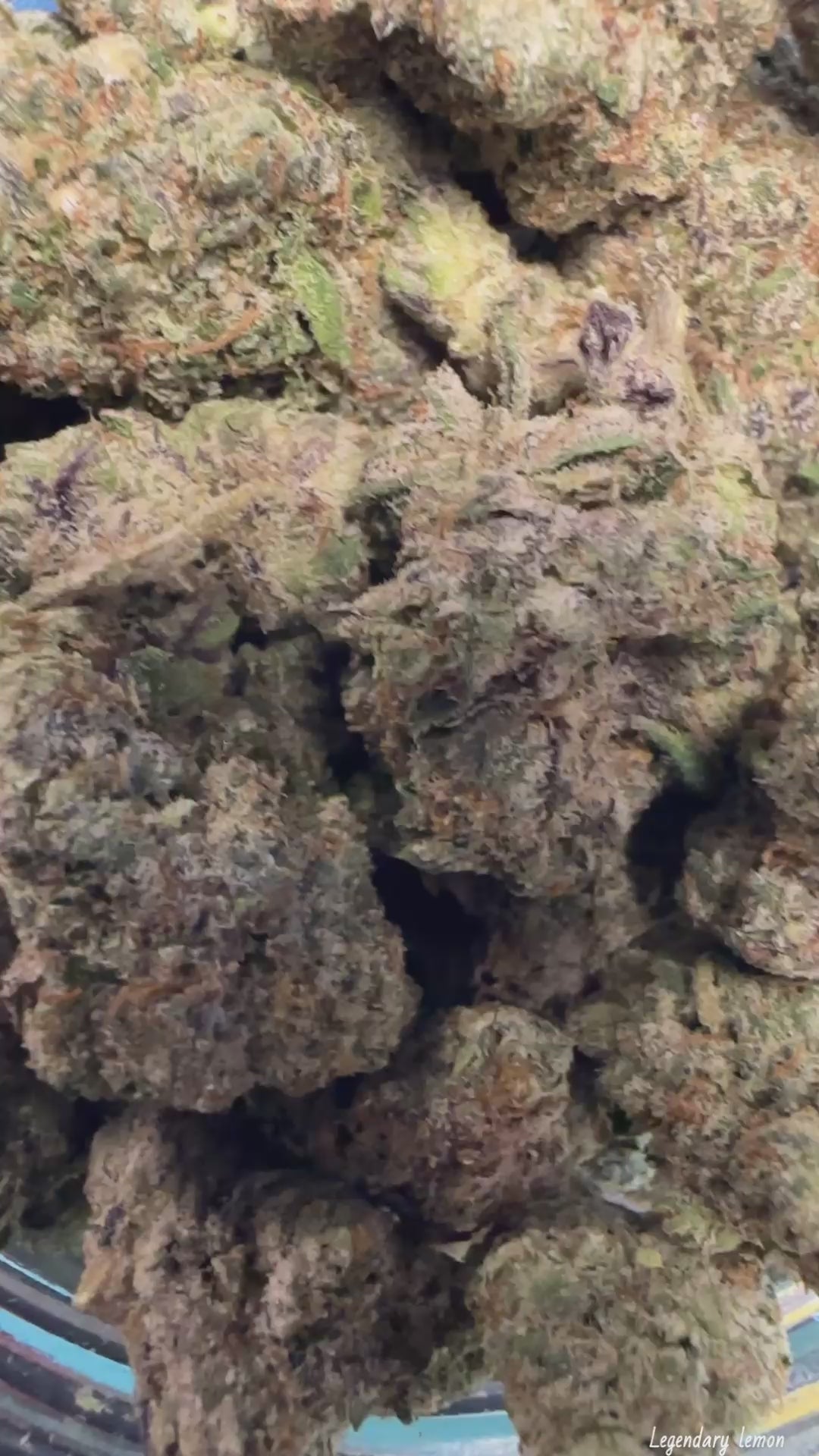 Legendary Lemon (Exotic🔥)
