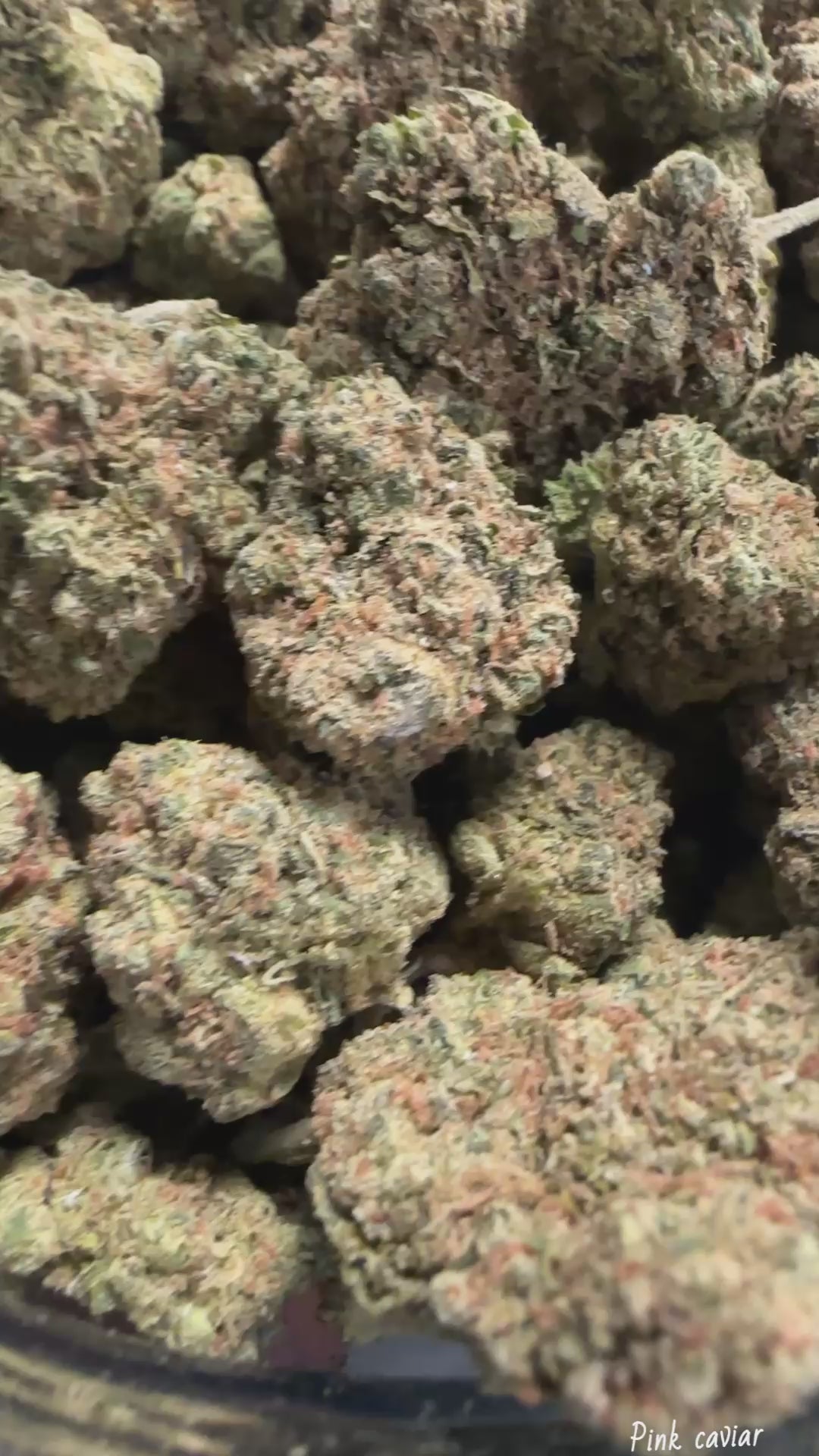 Pink Caviar (Exotic)