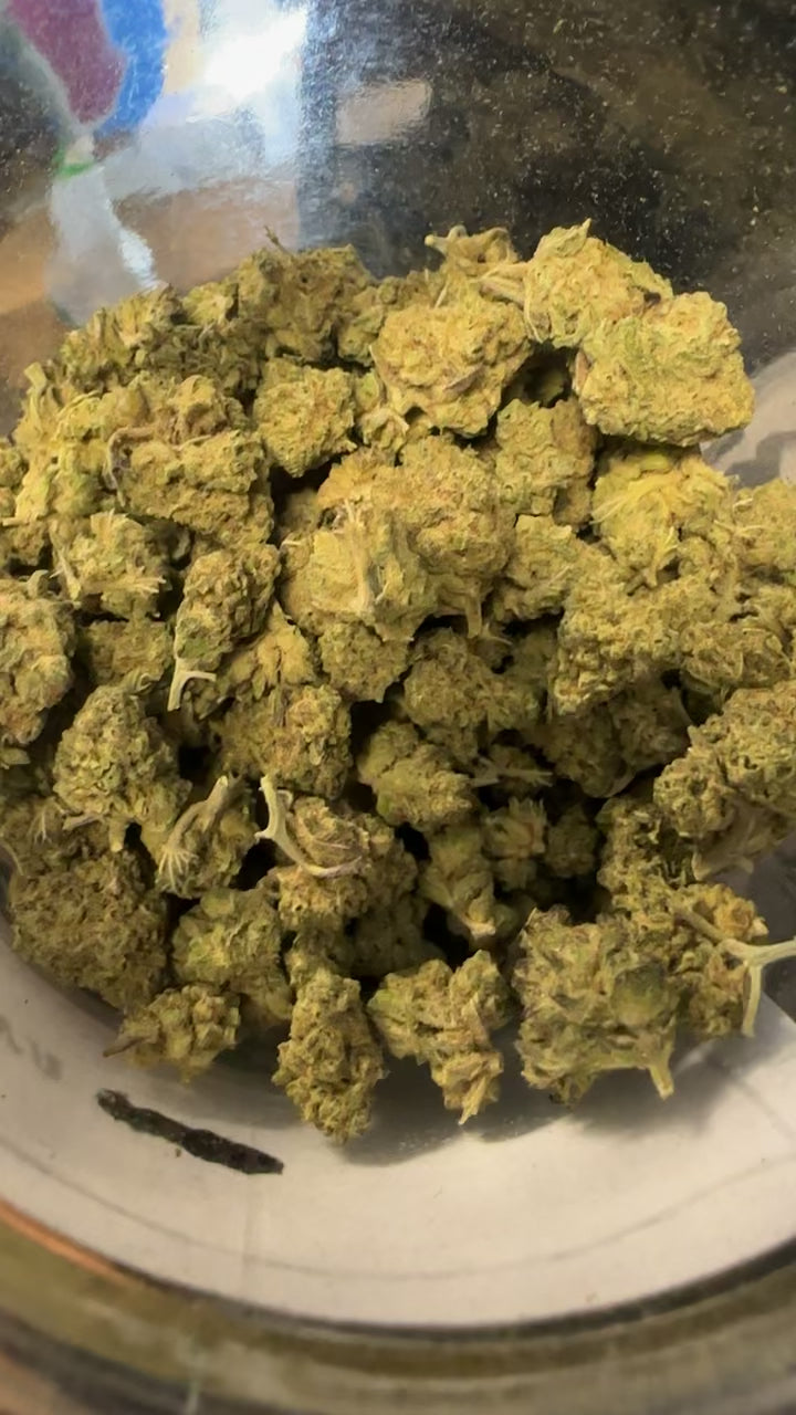 Laughing Gas (Exotic)
