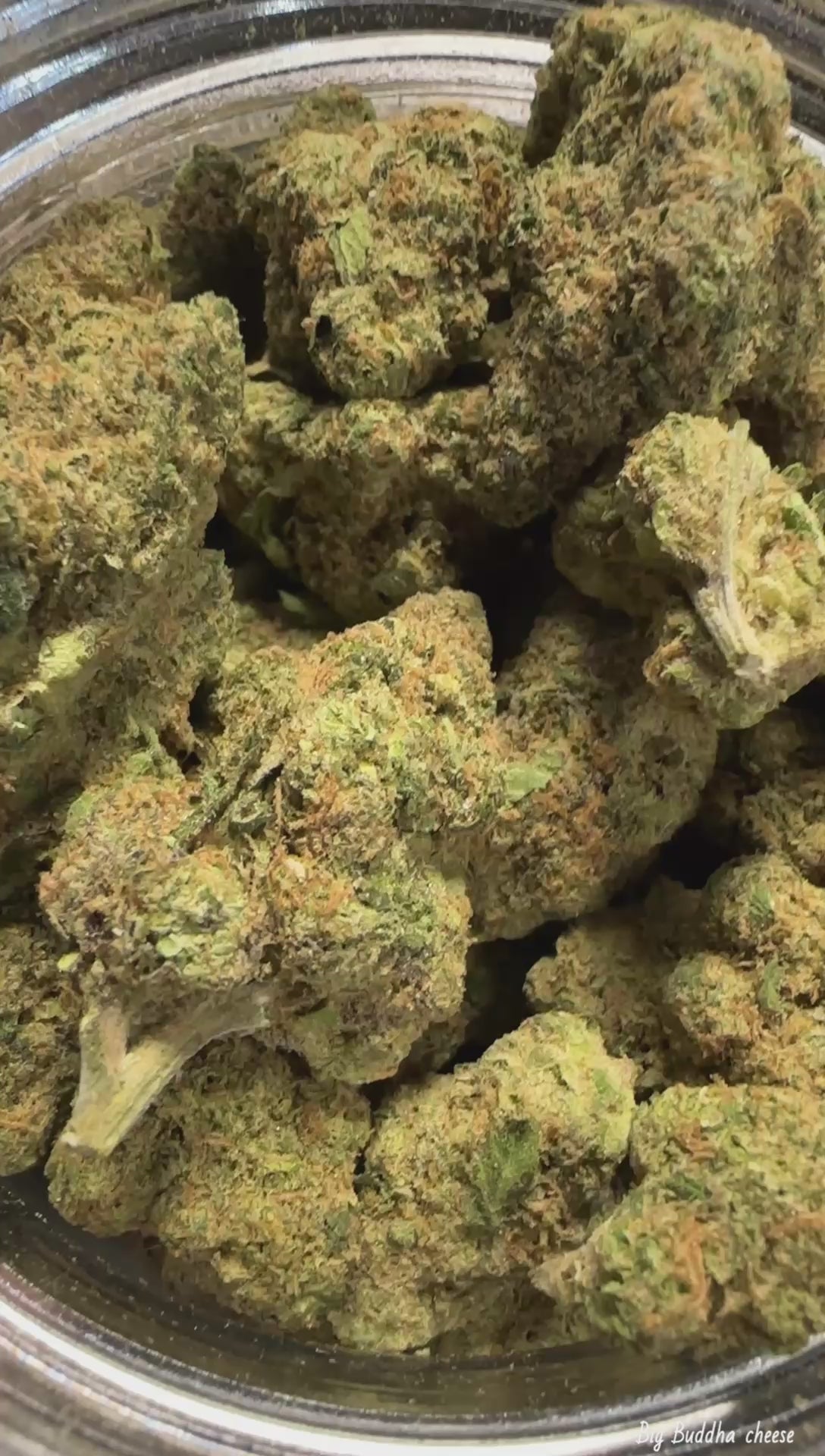 Big Buddha Cheese