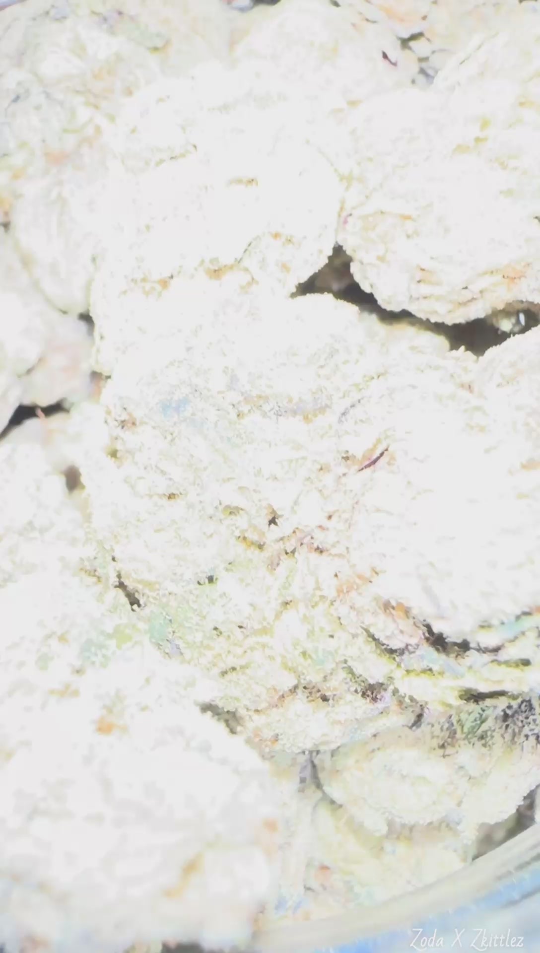 Zoda x Zkittlez🔥