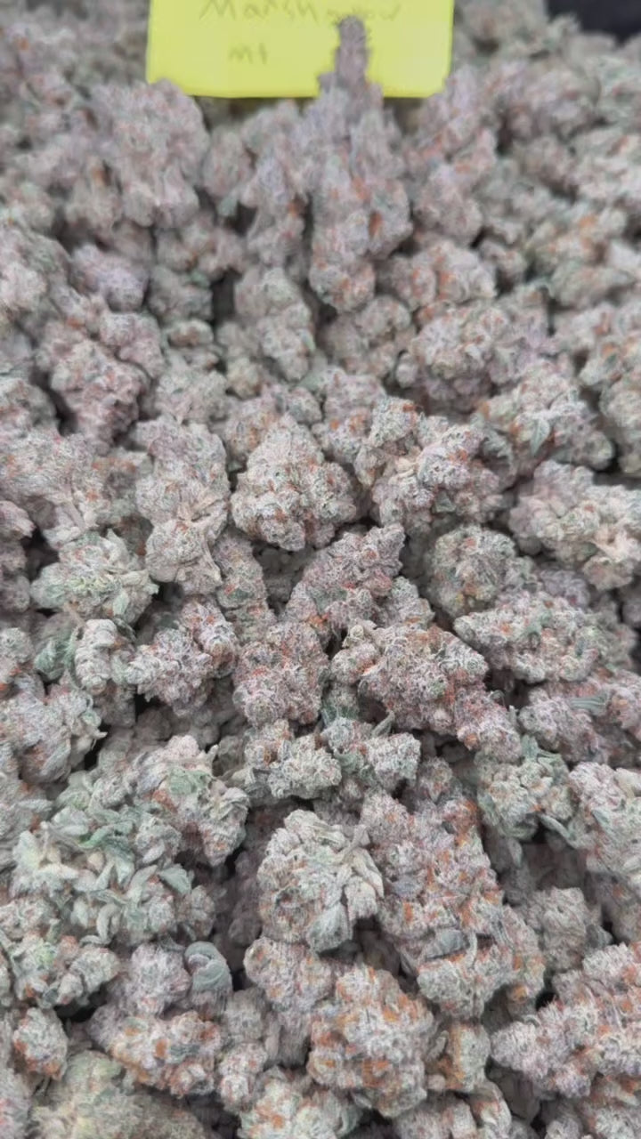 Marshmellow Mountain (Exotic)