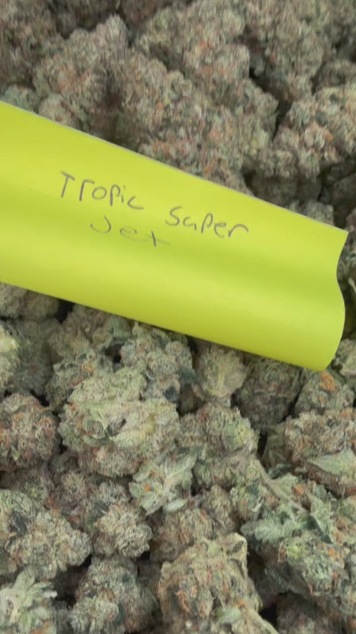 Tropic Super Jet (Exotic)