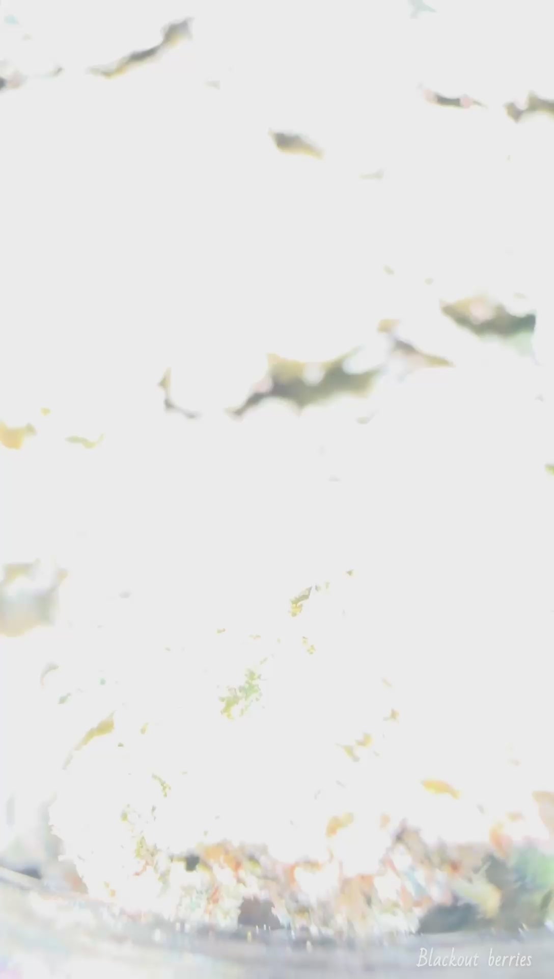 Blackout Berries